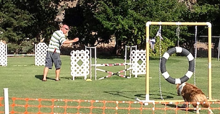 A trainer directing a dog towards agility equipment on a grass field.